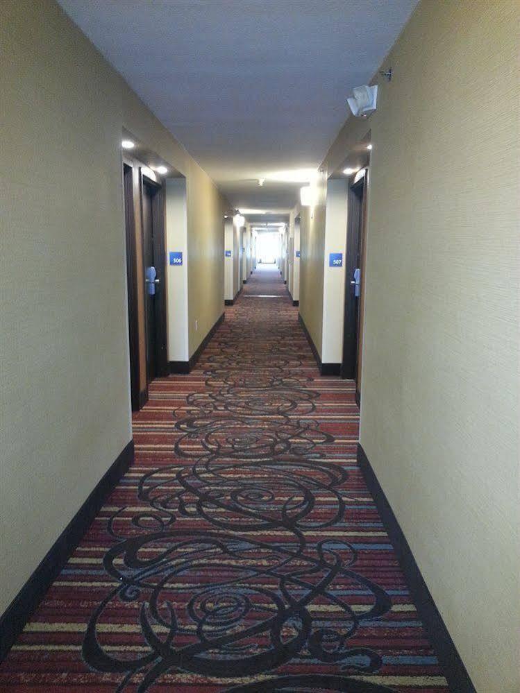 Holiday Inn Express Fredericksburg - Southpoint By Ihg Eksteriør bilde